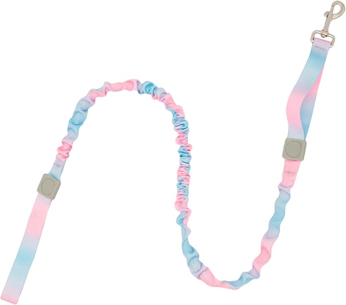 Dual Handles Bungee Dog Leash, Ombré Color Shock-Absorbing Dog Leash with 360° Swivel Clasp, for Small to Medium Dogs (4 – 5.5 ft) (Pink-Blue Ombré)