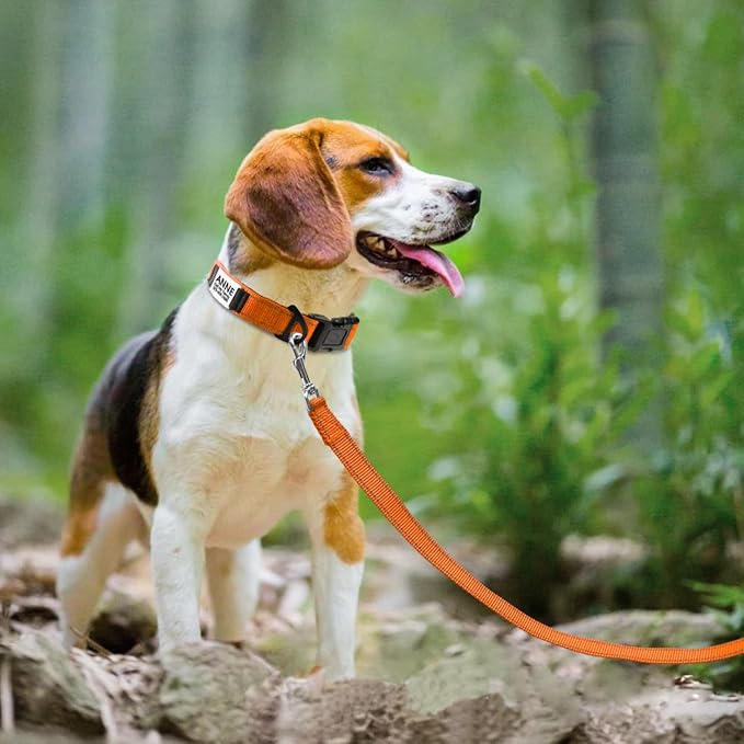 Joytale Personalized Dog Collars with Engraved Name Plate, Silent No Jingle Custom Nylon Collar with Fixed ID Tag, Reflective Soft Neoprene Padded Breathable for Medium Dogs, Orange
