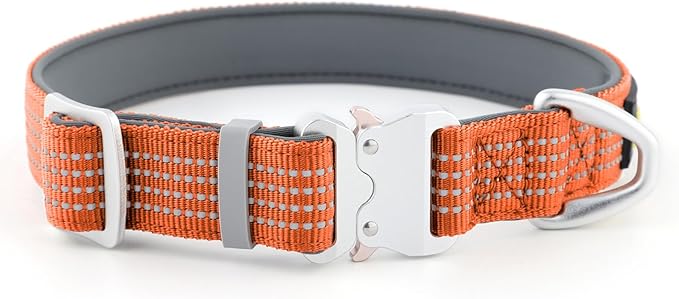 Plutus Pet Reflective Dog Collar with Aviation Aluminum Buckle, Neoprene Padded for Comfort, Lightweight, Heavy Duty Nylon Collar for Puppy Small Medium Large Dogs (Orange, M)