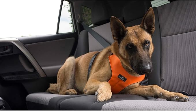 Clickit Sport Plus - Crash-Tested and Safety Certified Car Seat Belt Harness for Dogs (Large, First Blush)