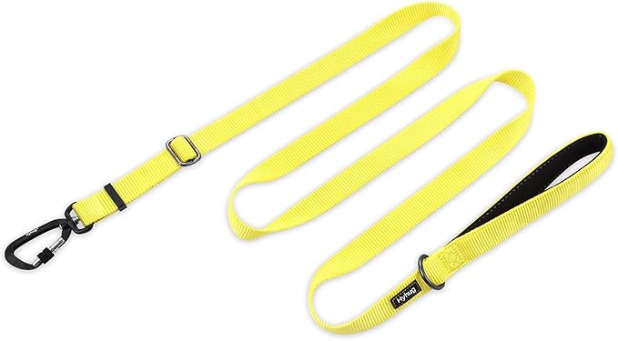 Hyhug Nylon Adjustable 4-6ft Dog Leash with Soft Neoprene Padded Handle, Durable Heavy Duty Leash with Easy-to-Use Bolt Snap, Ideal for Jogging Outdoor