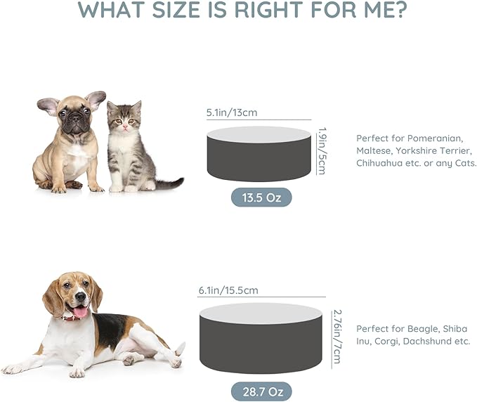 SPUNKYJUNKY 13.5OZ Ceramic Dog and Cat Bowl, Modern Cute Weighted Food Water Bowl for Replacement White-Grey (1 Pack)
