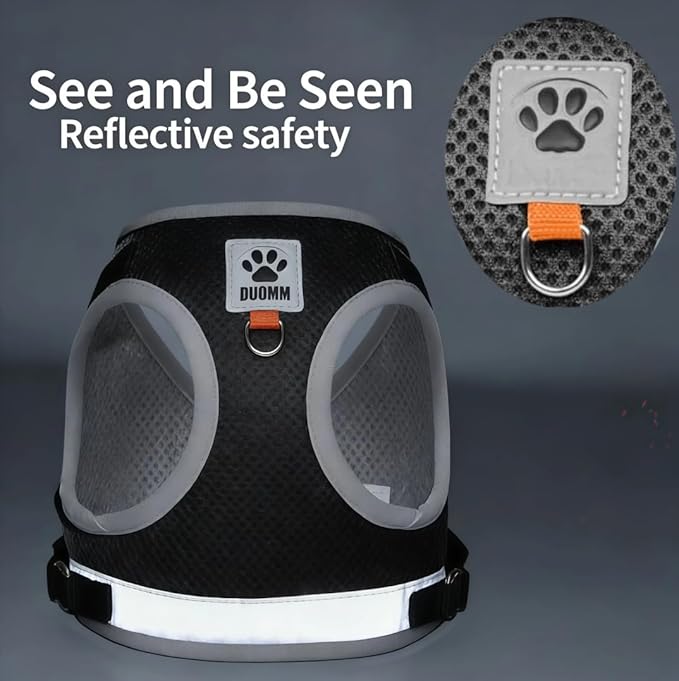Dog Harness and Leash Set-No Pull No Choke Step-in Pet Harness for All Weather Lightweight Adjustable Cat Harness Breathable Soft Mesh Puppy Vest with Hook & Loop Fastener Buckles D-Rings-Black-M
