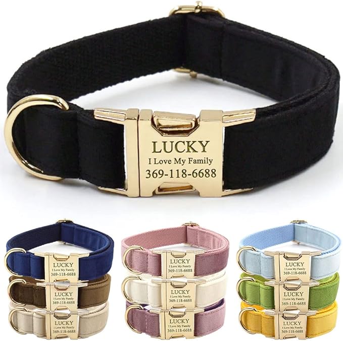 PETDURO Custom Dog Collar Personalized with Name Engraved Quick Release Rose Gold Metal Buckle for Large Medium Small Girl Dogs - Dog Leash and Bow Tie Available - Soft Comfy Velvet (Black G, XS)