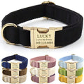 PETDURO Custom Dog Collar Personalized with Name Engraved Quick Release Rose Gold Metal Buckle for Large Medium Small Girl Dogs - Dog Leash and Bow Tie Available - Soft Comfy Velvet (Black G, XS)