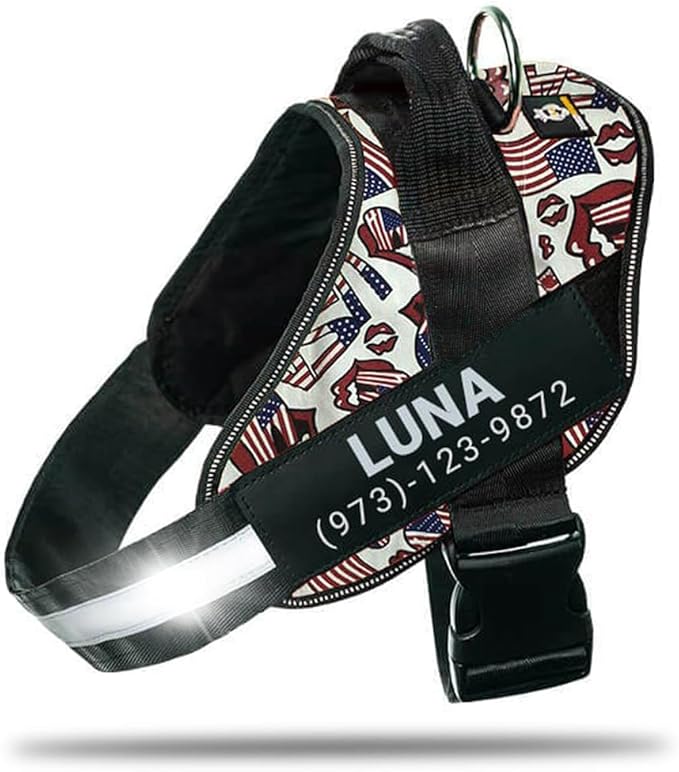 Personalized No-Pull Dog Harness with Name Patch, Adjustable, Reflective, Padded, Heavy Duty Pet Vest to Prevent Tugging, Pulling, or Choking, Training and Walking, USA, 2XL