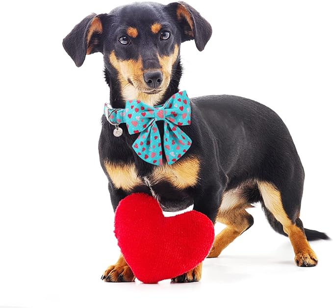 DOGWONG Valentine's Dog Collar with Sailor Bowtie - Blue Heart Adjustable Cotton Heart Dog Collar - Perfect for Small, Medium, Large Dogs
