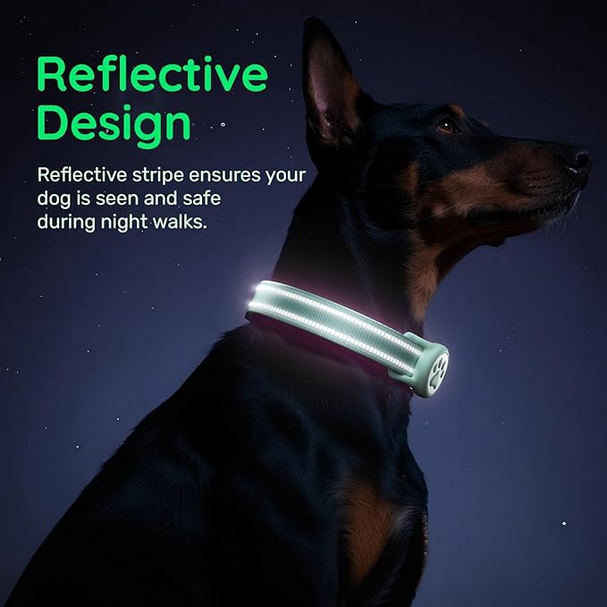 Airtag Dog Collar, Reflective Ultra-Durable Nylon Padded with QR Code Buckle & IP68 Waterproof Air Tag Holder Compatible for Apple AirTag, Comfortable for Small Medium Large Dogs (Green, XS)