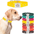 dogIDs Personalized Dog Collar – ScruffTag Custom Waterproof Biothane Dog Collar with Laser-Engraved Name, Durable & Odor-Resistant – USA Made | Yellow, 5/8 in x 12 in (Fits Neck Sizes 11-13 in)