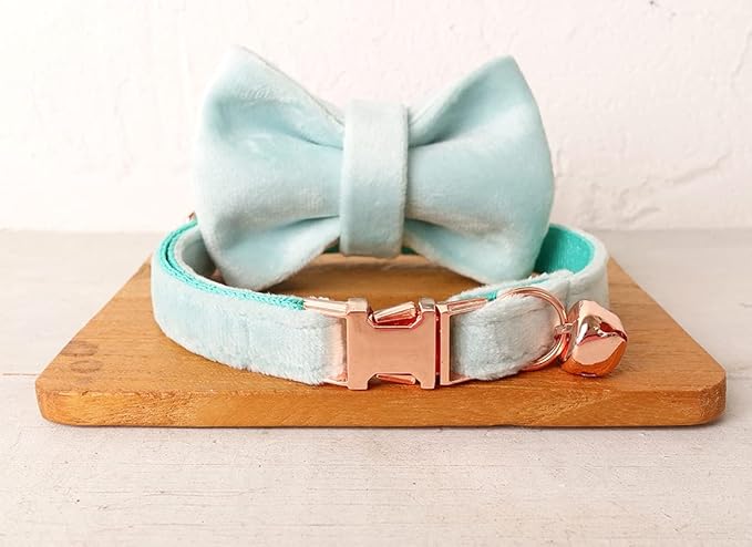 Cat Collar Personalized with Name Engraved and Bell, Customized Velvet Collars for Puppy Kittens (Aqua, S)