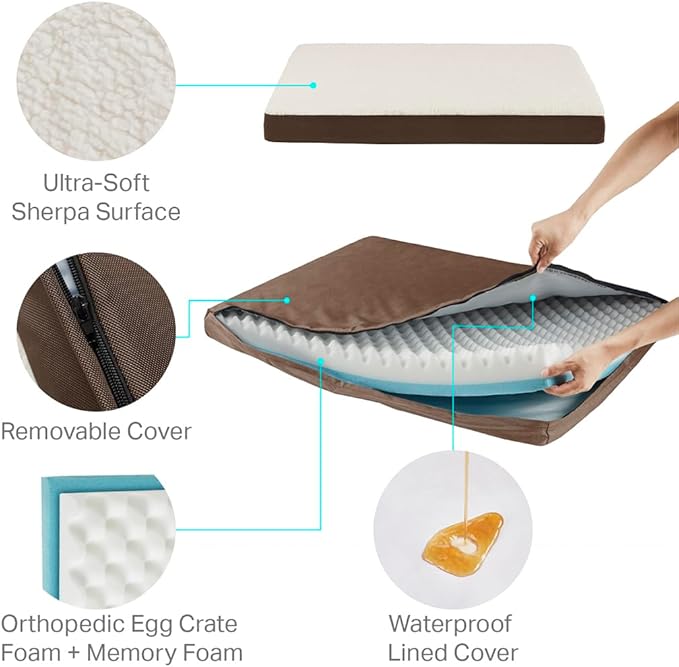 Friends Forever Orthopedic Dog Bed, Cooling Dog Beds with Removable Washable Cover, Reversible Pet Bed Mat with Memory Foam, Washable Removable Cover, Kato Khaki, 30x20x3 (Pack of 2)
