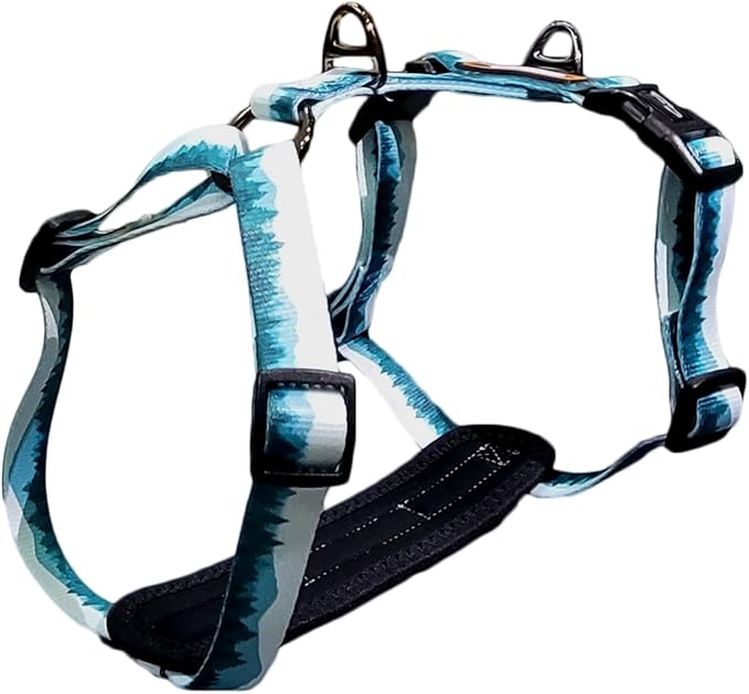 Casual H Dog Harness, No-Pull Pet Harness with 2 Leash Clips, Adjustable Soft Padded Dog Vest for Small, Medium, and Large Dogs, Forest Green Gradiant Color (S)