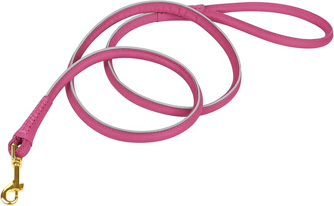 OOPSDOGGY Reflective Rolled Leather Dog Leash 6ft - Soft Training Lead for Small Medium Large Dogs Puppy - Heavy Duty Rope Puppies Leashes for Outdoor Walking Running (Pink, Small)
