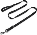 Hyhug Nylon Adjustable 4-6ft Dog Leash with Soft Neoprene Padded Handle, Durable Heavy Duty Leash with Easy-to-Use Bolt Snap, Ideal for Jogging Outdoor