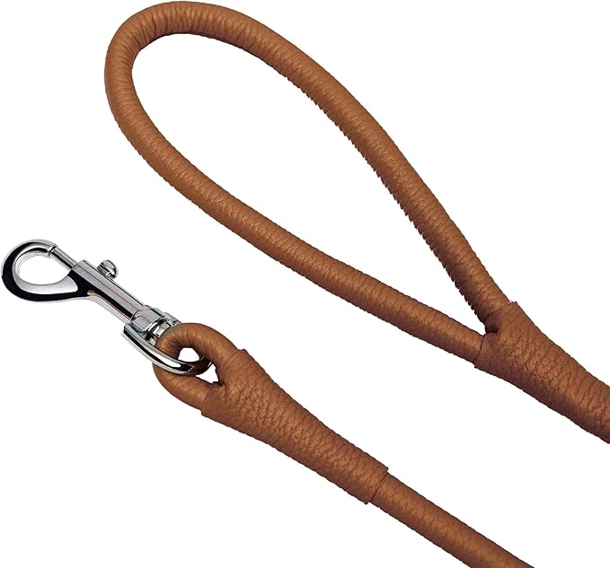 OOPSDOGGY Rolled Leather Dog Lead 6ft Heavy Duty Training Leash for Small Medium Large Dogs & Puppy Black Brown Red (Brown, Large)