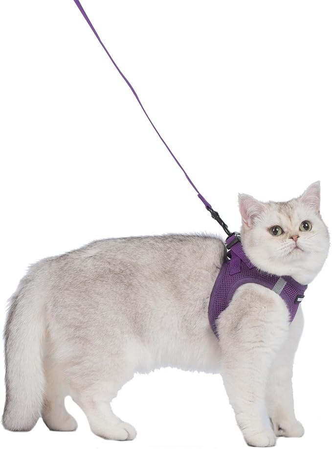Voyager Step-in Pet Harness - All Weather Mesh, Adjustable Step in Harness for Cats and Dogs by Best Pet Supplies - 307S Purple, XXXS