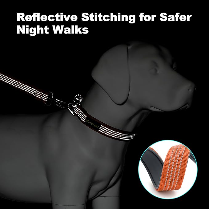 Plutus Pet Reflective Dog Collar with Aviation Aluminum Buckle, Neoprene Padded for Comfort, Lightweight, Heavy Duty Nylon Collar for Puppy Small Medium Large Dogs (Orange, XL)