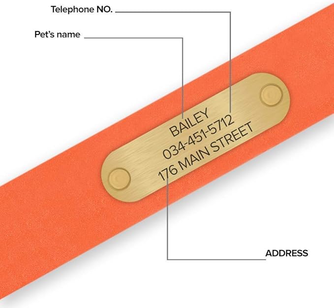 Regal Dog Products Large Orange Waterproof Dog Collars with Custom Engraved Name Plate | Vinyl Coated, Anti, Easy to Clean Personalized Biothane Dog Collar - Other Sizes for Small & Medium Dogs