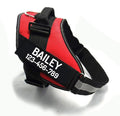 PawPawify Custom No Pull Dog Harness with Name and Phone Number, Heavy Duty Personalized Pet Vest to Prevent Tugging, Pulling, or Choking, Training and Walking (Red, M (20-40 LBS))