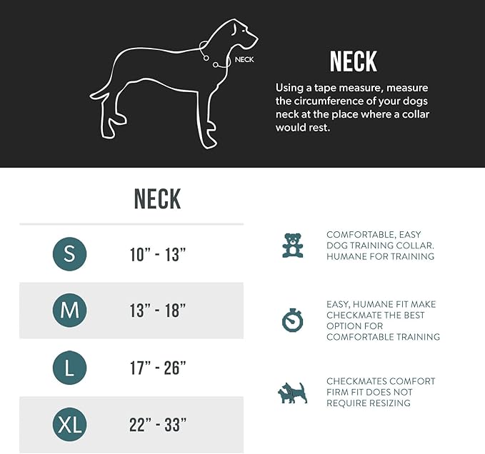 EzyDog Checkmate Martingale Collar for Dogs – Premium Nylon Training Dog Collar for Easy Control with no Choking (Small, Black)