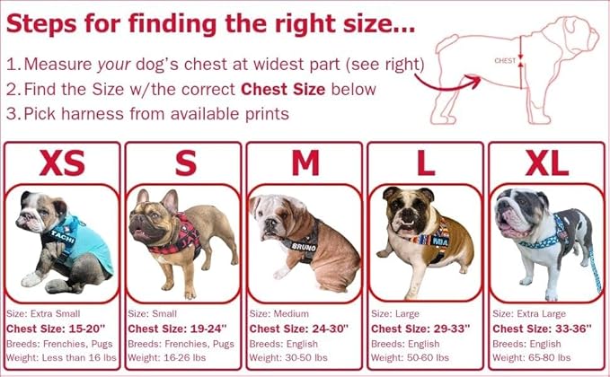 BULLHUG Adjustable Dog Harness– No Pull, No Choke – for English Bulldogs, French Bulldogs, Pugs & Broad-Chested Breeds – Easy, Safe Walks (Caution, Small)