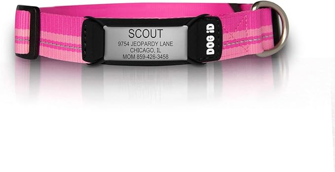 The Rock Solid Collar ID (Slate Pink, Small)
