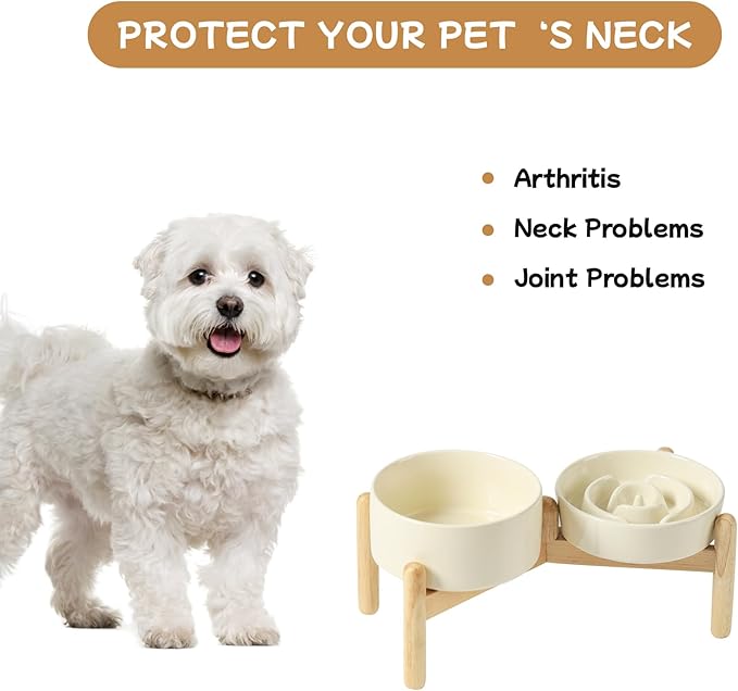 Ceramic 0.9 Cup Raised Slow Feeder Dog Bowl Set, Elevated 6.1inch Water Bowl and 6.1inch Slow Dish with Wooden Stand for Small Dogs (2 x Beige+ Stand)