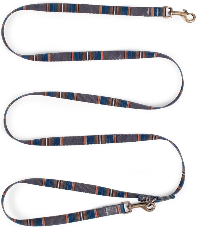 Pendleton Olympic National Park Adventure Leash 1" w