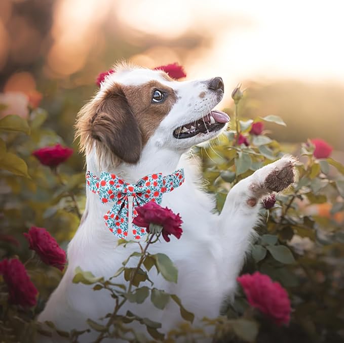 Lionet Paws Design Dogs Collar Cute Flower Sailor Bow Dog Collars for Girl Female Small Medium Dogs with Rose XS