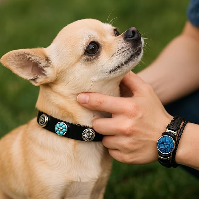 Collar & Cuff Matching Dog Collar and Owner Cuff Set with Snap Charms (L (14.5" - 18.5"), Black (12mm Snaps))