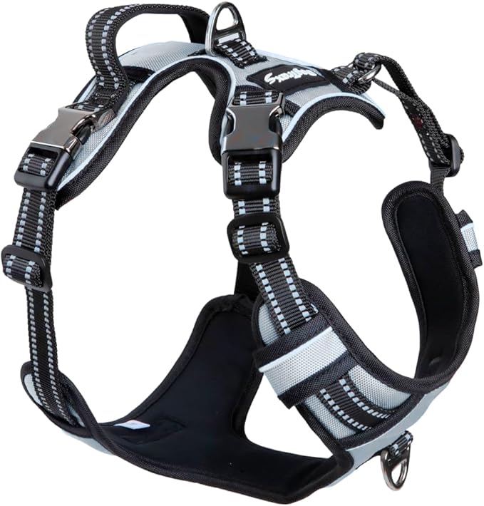 DogTraxs - Step-in Dog Harness - for Large Dogs - Soft Padding & Reflective Trim - Adjustable No Pull Through Design - Control Handle - Top & Front Clip Durable - Silver Gray