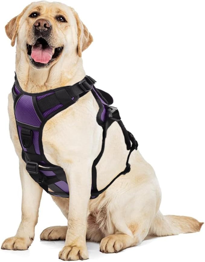 AUROTH Escape Proof Dog Harness - No Pull with Lift Handle, Soft Padded Reflective Adjustable Vest, Large for Walking, Hiking, Training