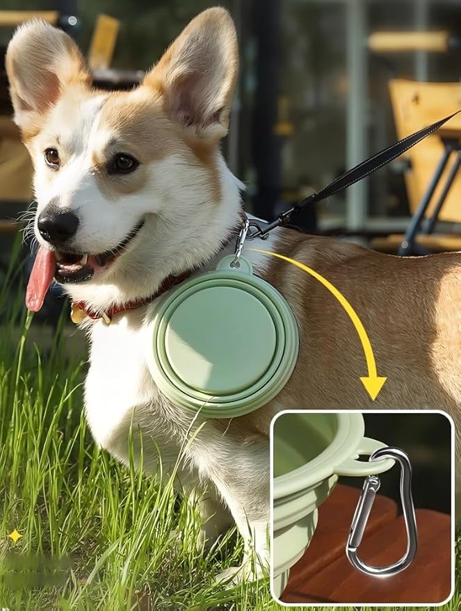 2-Pack,LeeRound Large Breed Collapsible Dog Bowls Meet Needs in Different Scenarios, Food-Grade Silicone Bowls, Portable Dog Travel Bowls with Hook, Indoors &Outdoors Feeding Kits,Pet Essentials