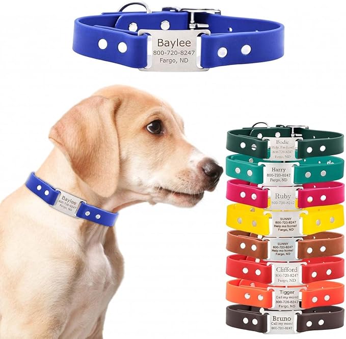 dogIDs Personalized Dog Collar – ScruffTag Custom Waterproof Biothane Dog Collar with Laser-Engraved Name, Durable & Odor-Resistant – USA Made | Blue, 3/4 in x 14 in (Fits Neck Sizes 12-16 in)