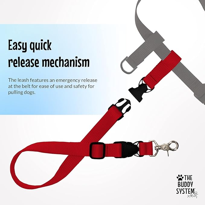 The Buddy System Hands Free Dog Leash, Adjustable Leash for Running, Jogging, Training and Service Dogs, Great for Small, Medium and Large Dogs, Made in USA (Red, Regular Belt (22"- 40" Waist))