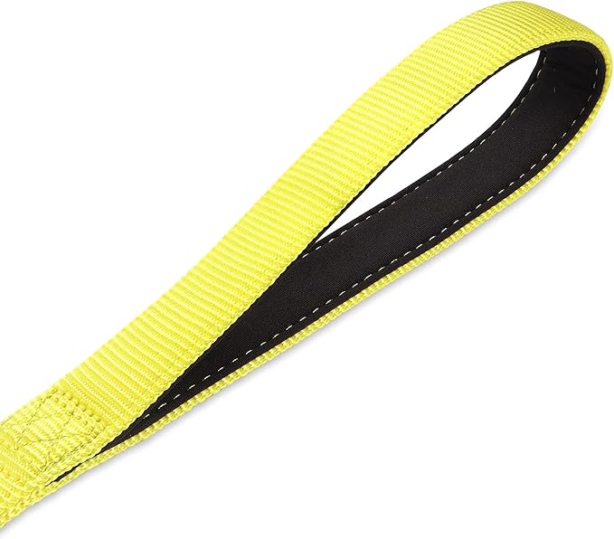 Hyhug Nylon Adjustable 4-6ft Dog Leash with Soft Neoprene Padded Handle, Durable Heavy Duty Leash with Easy-to-Use Bolt Snap, Ideal for Jogging Outdoor