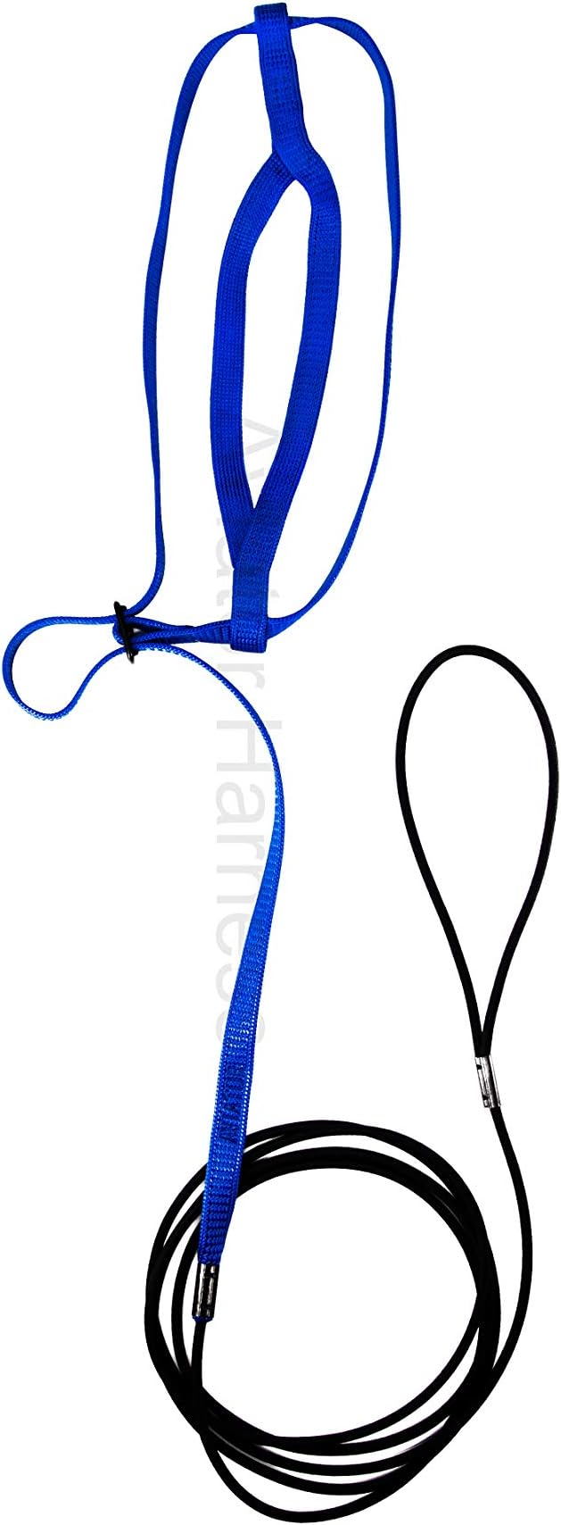 The AVIATOR Pet Bird Harness and Leash: Large Blue