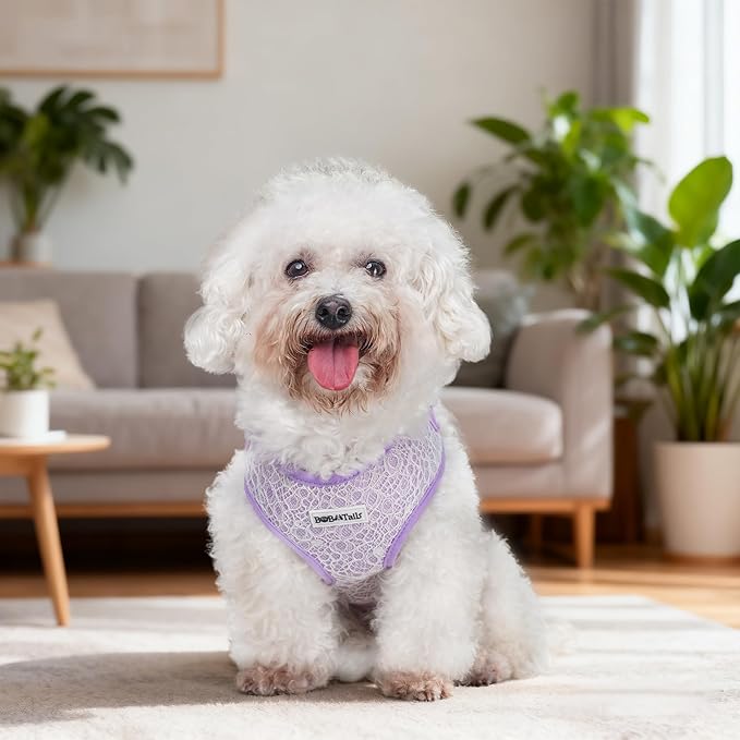No Pull Dog Vest Harness for Small&Medium Dogs, Side Clip Adjustable Pet Vest, Soft Breathable, Fashion Dog Harnesses for Walking, Running, Shopping (Purple, S)