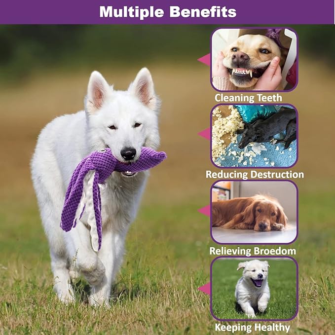 SUNKYPUP Squeaky Dog Toys - Small to Large, Stuffed with Crinkle Paper, Durable & Great for Puppies