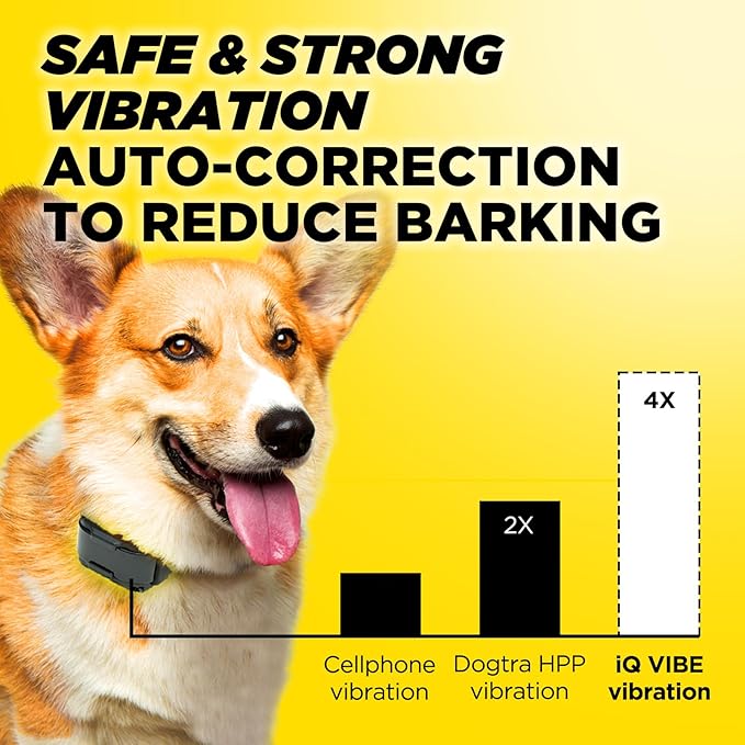 Dogtra iQ Vibe Vibration Only No Bark Collar: 4X Stronger HPP Vibration, IPX9K Waterproof, Precision Sensor, Rechargeable