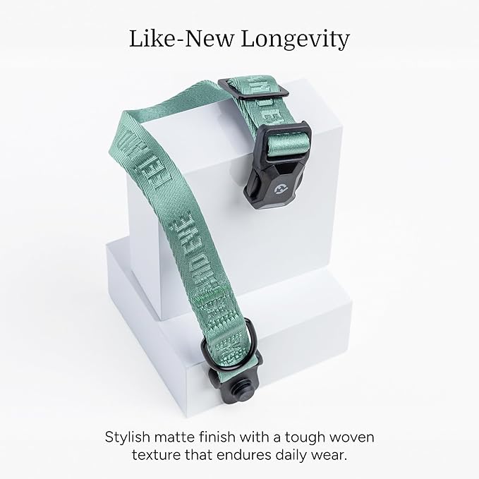 2026 New Edition, Fei & Eve MagEase Dog Collar - Patented Magnetic Buckles | Fur-Safe | Premium 210D Nylon | 450LB Escape-Proof | Adjustable Fit | Large (Glacier Green)