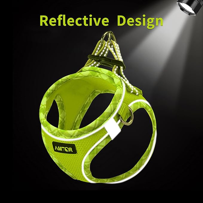AMTOR Small Dog Harness with Leash Set, No Escape Easy Walk Puppy Harnesses for Training Walking, Step-in Reflective Soft Dogs Vest for XS S Medium Extra-Small Large Sized Dog(S Size,Green/White)