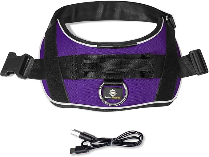 Personalized No Pull 360° LED Dog Harness with Custom Name Patches, USB Rechargeable, Adjustable, Reflective for Night Walks, Rainproof Module with 3 Modes Lasts up to 24h, Purple, M