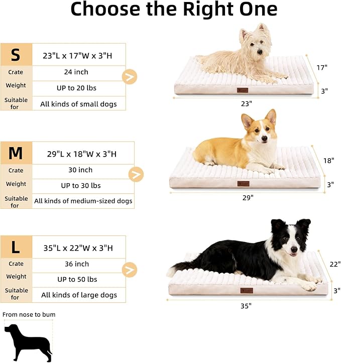 Orthopedic Dog Bed with Firm High-Density Egg Crate Foam Mattress,Machine Washable Cover & Non-Slip Bottom for Small Breeds & Toy Dogs (Beige, 23" L x 17" W x 3" H)