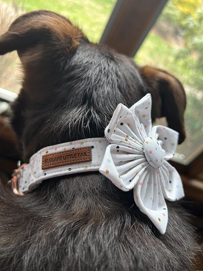 Elegant Little Tail Dot Cute Pet Collar with Flower - Adjustable for Small Dogs
