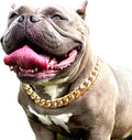Gold Chain Dog Collar - 7/8 inch Wide Metal Cuban Link Dog Necklace with Leather Belt, Lightweight Protect Puppy's Neck, Cute Fashion Dog Jewelry Accessories 18 inches