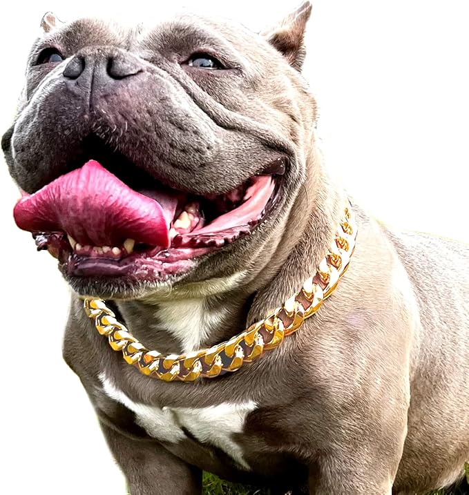 Gold Chain Dog Collar - 7/8 inch Wide Metal Cuban Link Dog Necklace with Leather Belt, Lightweight Protect Puppy's Neck, Cute Fashion Dog Jewelry Accessories 26 inches