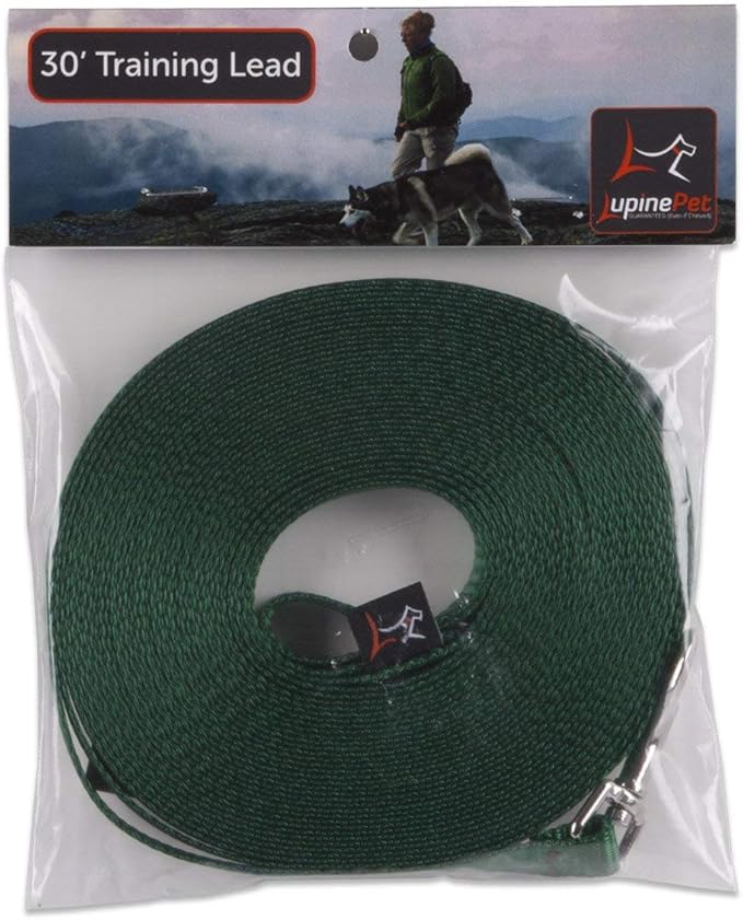 LupinePet Basics 1/2" Green 30-foot Extra-Long Training Lead/Leash for Small Pets