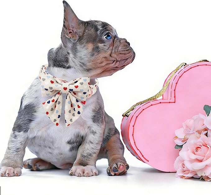DOGWONG Dog Bow Collar Valentine's Day Dog Collar -Hearts Print Dog Collar with Bowtie Spring Dog Collars Pet Collar Bows Cute Collars,M