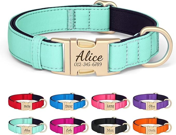 PET ARTIST Colorful Personalized Dog Collars, Custom Dog Collar with Silent Engraved ID Tag, Lightweight Breathable Nylon & Soft Padded, Matching Leash & Poop Bag for Medium Dogs,Green,M Fit 13-20"
